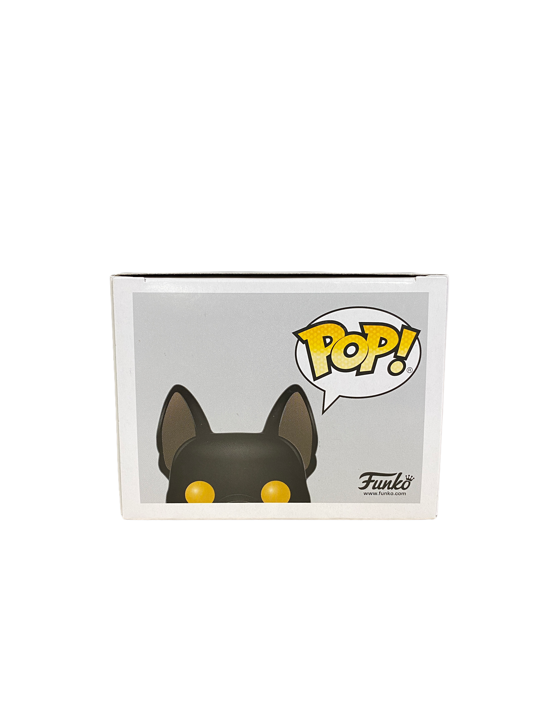 Sirius Black As Dog #73 (Flocked) Funko Pop! - Harry Potter - Special Edition -